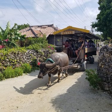 石垣島＆竹富島を巡る女子旅のご紹介！ 1-2